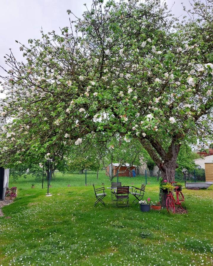 Gite Au Pommier Fleuri Et Son "Appart" Independant Drusenheim Ngoại thất bức ảnh