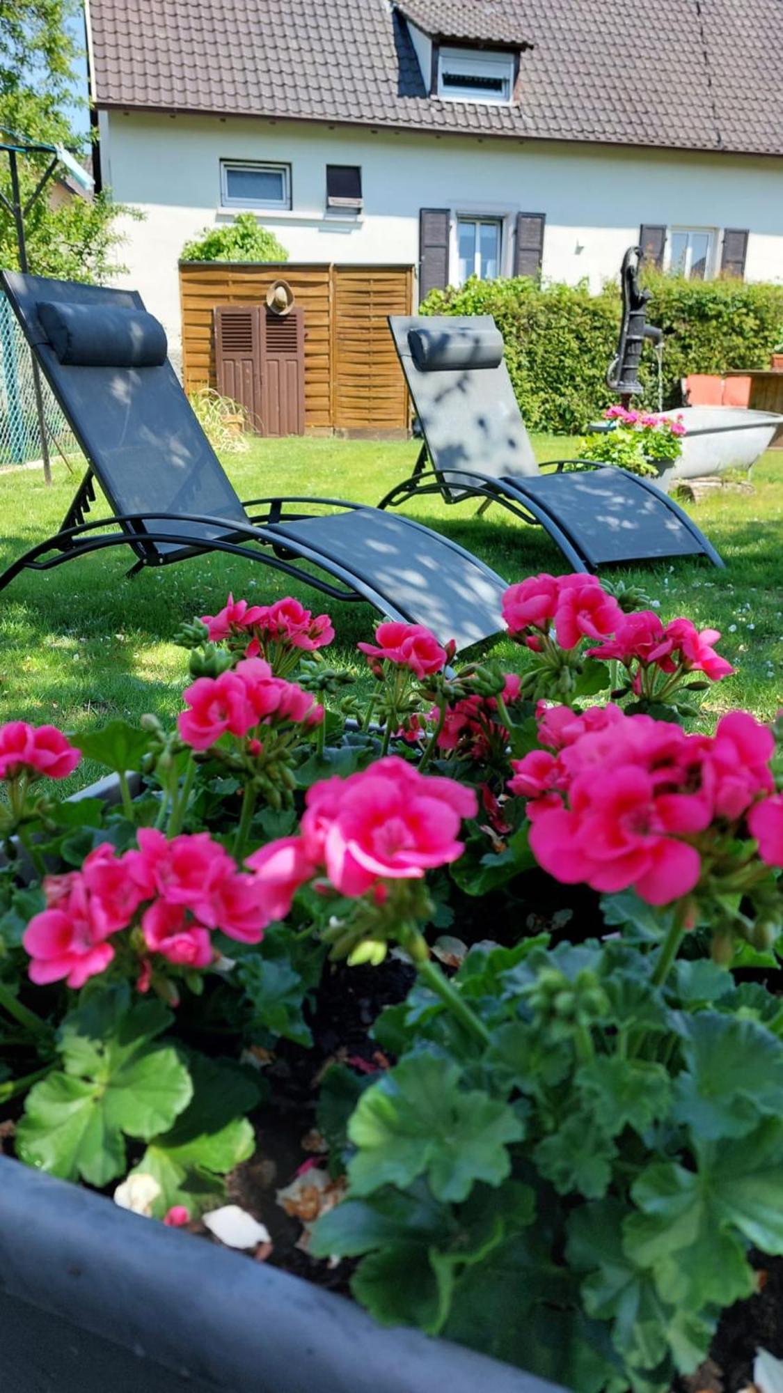 Gite Au Pommier Fleuri Et Son "Appart" Independant Drusenheim Ngoại thất bức ảnh