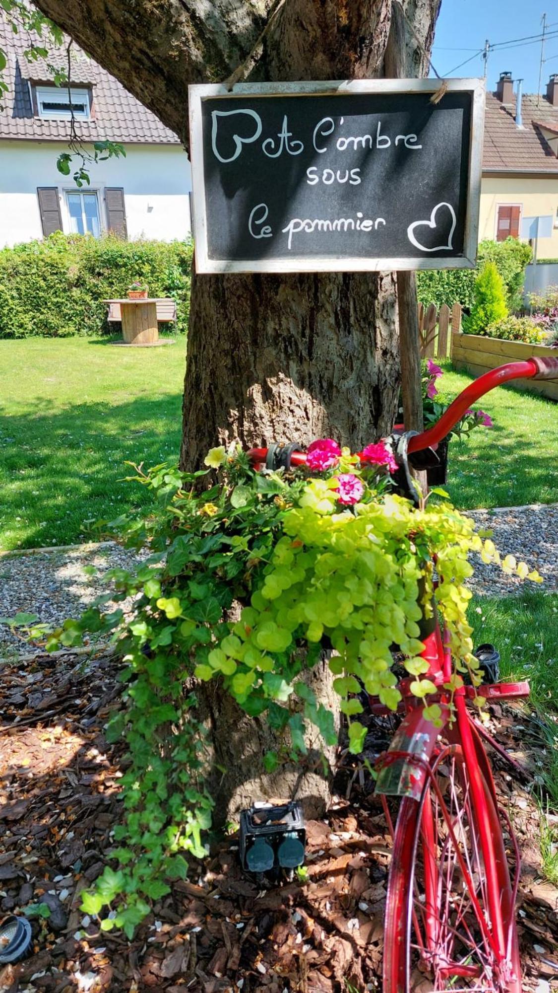 Gite Au Pommier Fleuri Et Son "Appart" Independant Drusenheim Ngoại thất bức ảnh